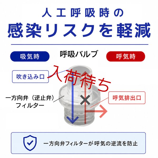 画像1: 予備取替用バルブ (1)